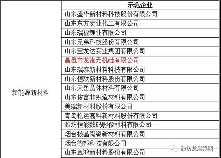 昌邑市龍港無機(jī)硅有限公司