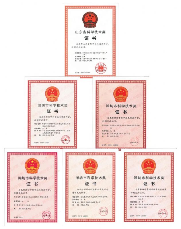 [good news] Longgang silicon Co., Ltd. won the first prize of Weifang Science and Technology Progress Award！