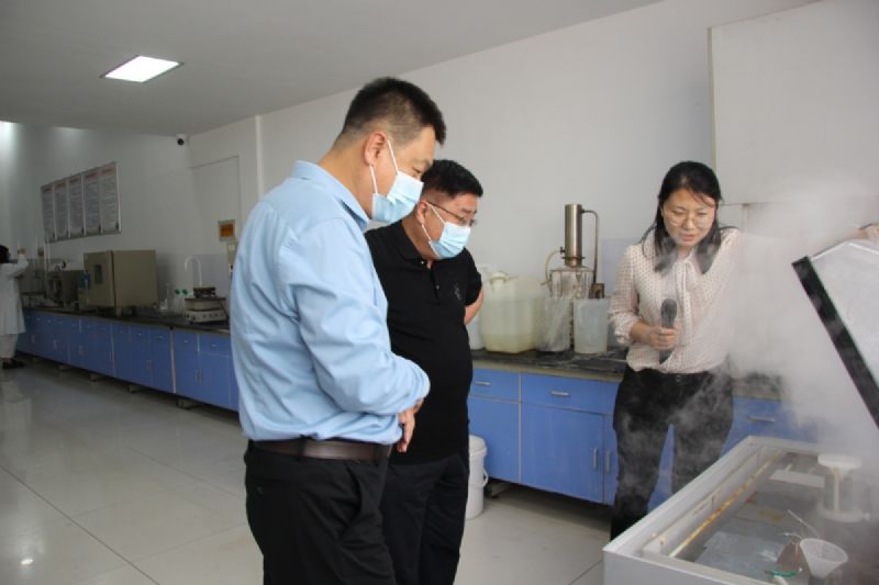 Leaders of the Provincial Oceanic Administration visited Longgang Silicon Industry Co., Ltd