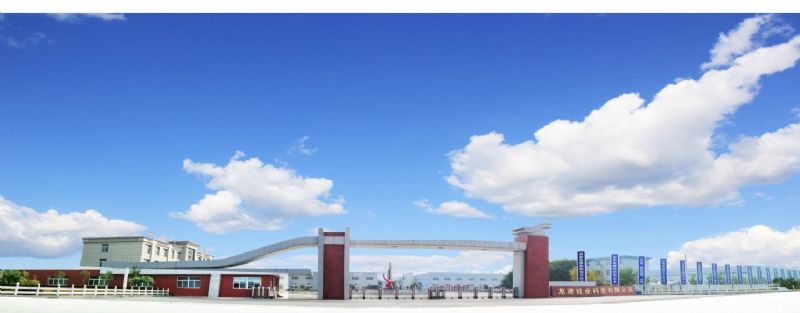 回首過去，不忘初心；展望未來，砥礪前行丨2019，龍港再出發(fā)！