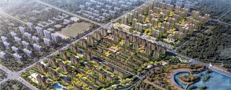 回首過去，不忘初心；展望未來，砥礪前行丨2019，龍港再出發(fā)！