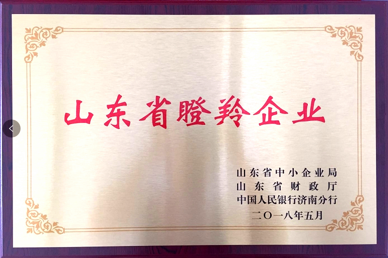 回首過去，不忘初心；展望未來，砥礪前行丨2019，龍港再出發(fā)！