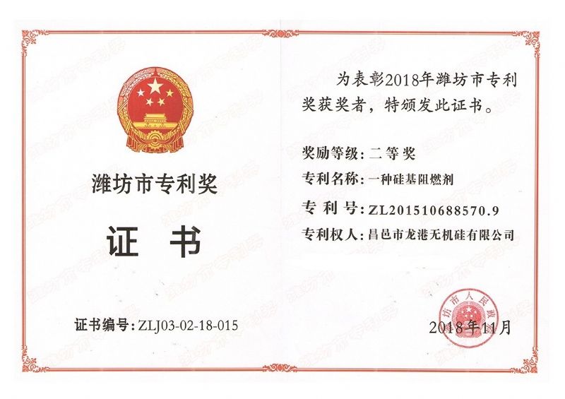 回首過去，不忘初心；展望未來，砥礪前行丨2019，龍港再出發(fā)！