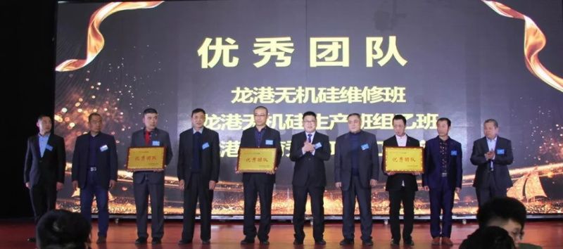 “感恩相伴?筑夢(mèng)同行”——龍港集團(tuán)2019新春年會(huì)盛大舉行！