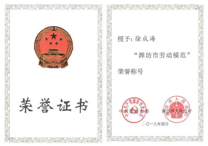 【員工風(fēng)采】龍港無機(jī)硅員工徐成海榮獲“濰坊市勞動模范”榮譽(yù)稱號！