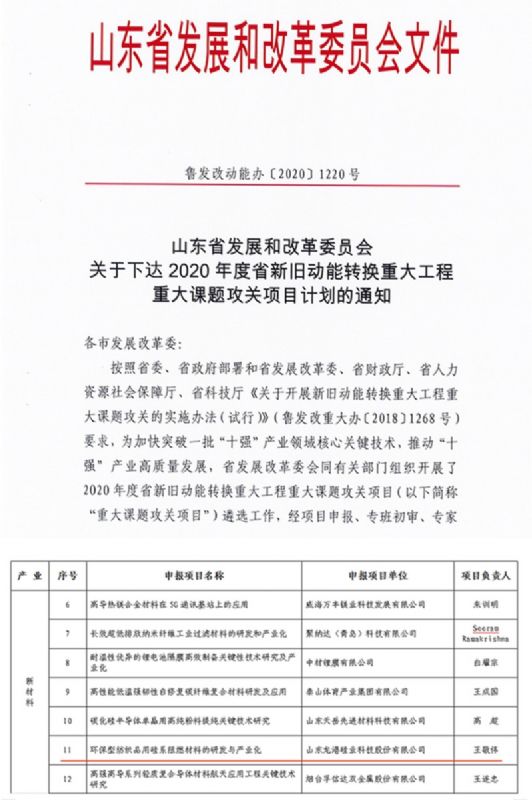 律回春暉漸 萬(wàn)象始更新—龍港阻燃材料入選省新材料創(chuàng)新應(yīng)用示范項(xiàng)目！